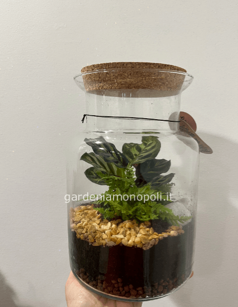 Terrario di design h 27 d.18