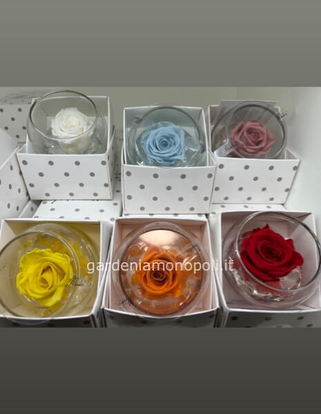 Rosa stabilizzata sfera d.8